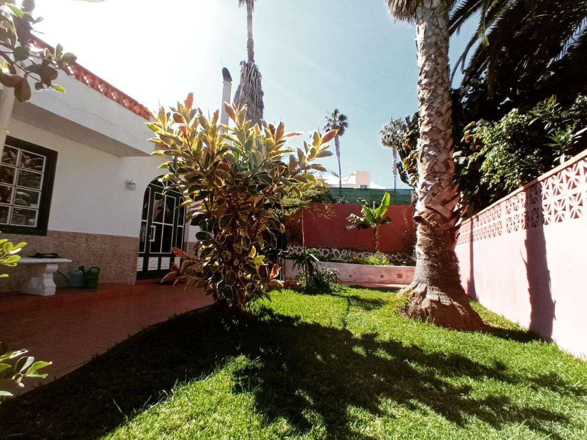 Finca Los Pajaritos Villa Icod De Los Vinos Exteriör bild